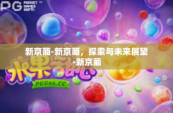 新京葡-新京葡，探索与未来展望-新京葡