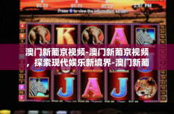 澳门新葡京视频-澳门新葡京视频，探索现代娱乐新境界-澳门新葡京视频
