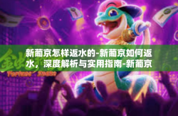 新葡京怎样返水的-新葡京如何返水，深度解析与实用指南-新葡京怎样返水的