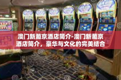 澳门新葡京酒店简介-澳门新葡京酒店简介，豪华与文化的完美结合-澳门新葡京酒店简介