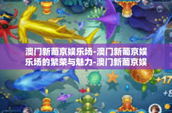 澳门新葡京娱乐场-澳门新葡京娱乐场的繁荣与魅力-澳门新葡京娱乐场