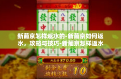 新葡京怎样返水的-新葡京如何返水，攻略与技巧-新葡京怎样返水的