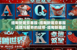 缅甸新葡京客服-缅甸新葡京客服，连接与服务的纽带-缅甸新葡京客服