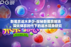 新葡京返水多少-探秘新葡京赌场，深化体验时代下的返水现象研究-新葡京返水多少