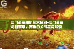 澳门葡京和新葡京区别-澳门葡京与新葡京，两者的关键差异解读-澳门葡京和新葡京区别