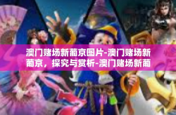 澳门赌场新葡京图片-澳门赌场新葡京，探究与赏析-澳门赌场新葡京图片