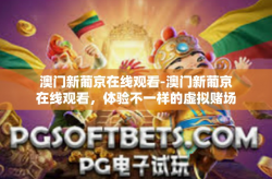 澳门新葡京在线观看-澳门新葡京在线观看，体验不一样的虚拟赌场娱乐-澳门新葡京在线观看
