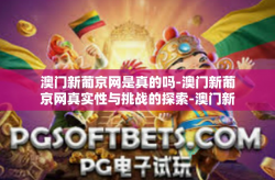 澳门新葡京网是真的吗-澳门新葡京网真实性与挑战的探索-澳门新葡京网是真的吗