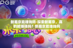新葡京能赚钱吗-探索新葡京，真的能赚钱吗？新葡京能赚钱吗