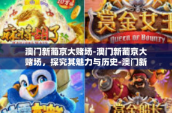 澳门新葡京大赌场-澳门新葡京大赌场，探究其魅力与历史-澳门新葡京大赌场