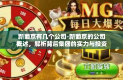 新葡京有几个公司-新葡京的公司概述，解析背后集团的实力与投资业务多样化篇章标题，揭秘新葡京家族企业集团全景-新葡京有几个公司