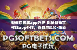 新葡京棋牌app外挂-揭秘新葡京棋牌app外挂，真相与风险-新葡京棋牌app外挂
