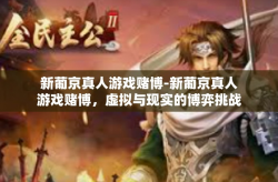 新葡京真人游戏赌博-新葡京真人游戏赌博，虚拟与现实的博弈挑战-新葡京真人游戏赌博