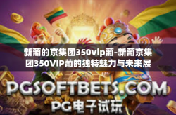 新葡的京集团350vip葡-新葡京集团350VIP葡的独特魅力与未来展望-新葡的京集团350vip葡