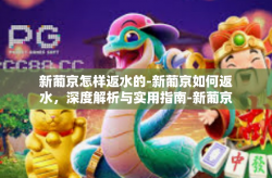 新葡京怎样返水的-新葡京如何返水，深度解析与实用指南-新葡京怎样返水的