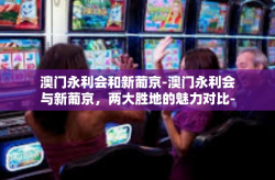 澳门永利会和新葡京-澳门永利会与新葡京，两大胜地的魅力对比-澳门永利会和新葡京