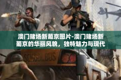 澳门赌场新葡京图片-澳门赌场新葡京的华丽风貌，独特魅力与现代化建设的新面貌-澳门赌场新葡京图片