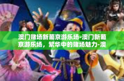 澳门赌场新葡京游乐场-澳门新葡京游乐场，繁华中的赌场魅力-澳门赌场新葡京游乐场