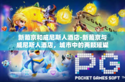 新葡京和威尼斯人酒店-新葡京与威尼斯人酒店，城市中的两颗璀璨明珠-新葡京和威尼斯人酒店