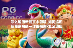 怎么追回新葡京余额呢-如何追回新葡京余额—详细指南-怎么追回新葡京余额呢