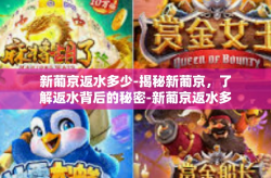 新葡京返水多少-揭秘新葡京，了解返水背后的秘密-新葡京返水多少