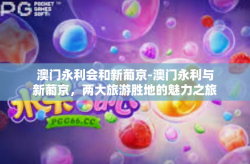 澳门永利会和新葡京-澳门永利与新葡京，两大旅游胜地的魅力之旅-澳门永利会和新葡京