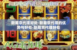 新葡京代理好处-新葡京代理的优势与好处-新葡京代理好处