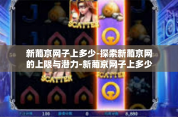 新葡京网子上多少-探索新葡京网的上限与潜力-新葡京网子上多少