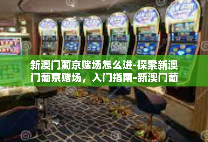 新澳门葡京赌场怎么进-探索新澳门葡京赌场，入门指南-新澳门葡京赌场怎么进