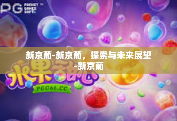 新京葡-新京葡，探索与未来展望-新京葡