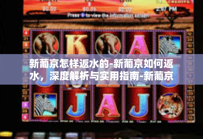 新葡京怎样返水的-新葡京如何返水,深度解析与实用指南-新葡京怎样返水的 新葡京怎样返水的-新葡京如何返水,深度解析与实用指南-新葡京怎样返水的