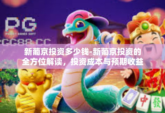 新葡京投资多少钱-新葡京投资的全方位解读，投资成本与预期收益分析-新葡京投资多少钱